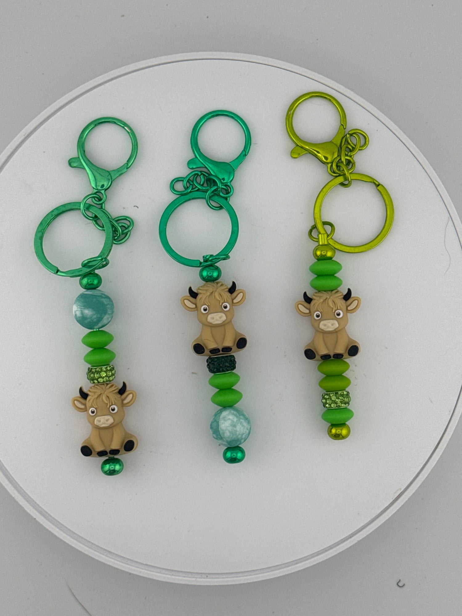 Electro-Shine Super Shiny Electrostatically painted